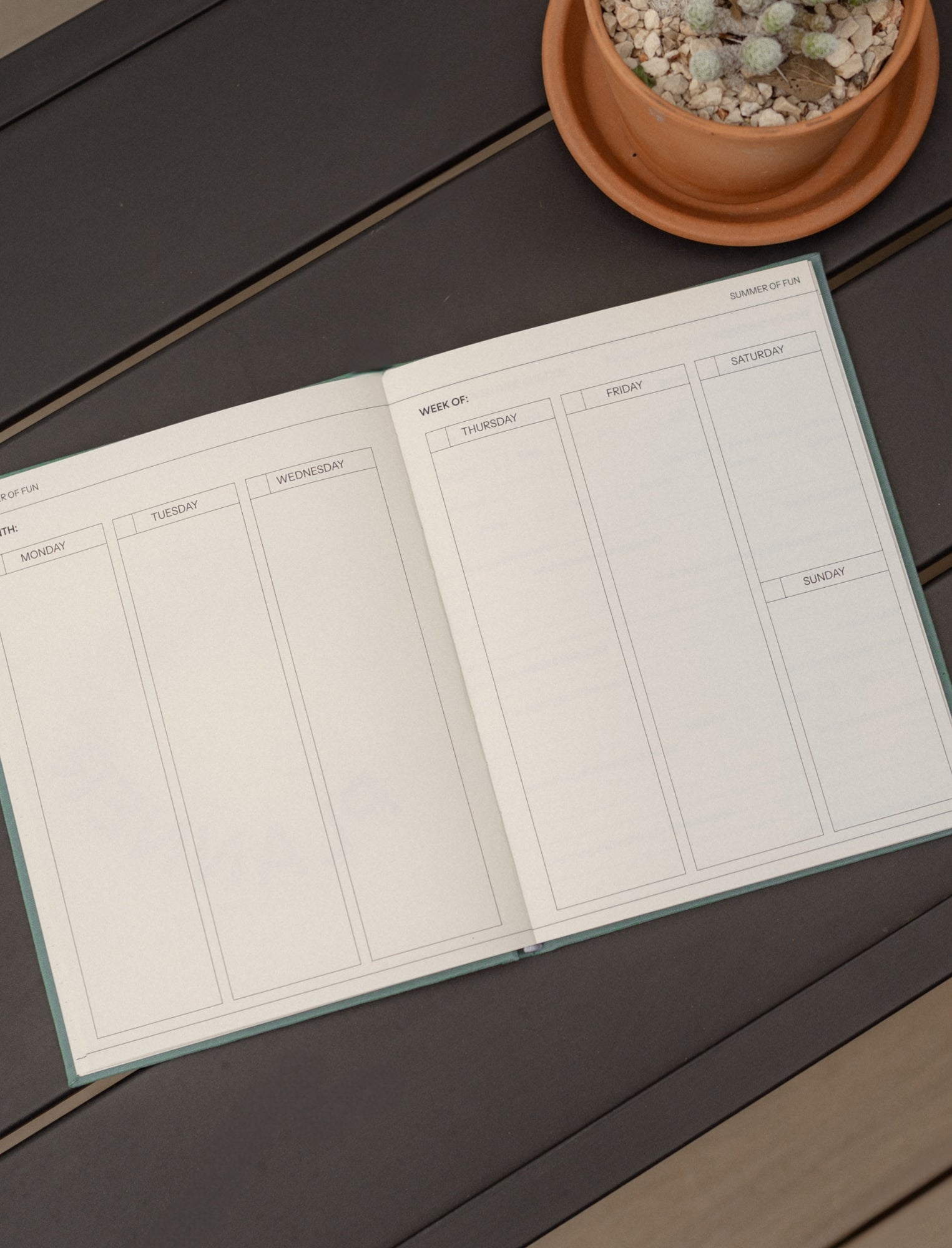 Summer of Fun Family Planner